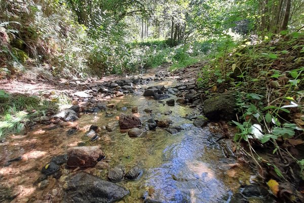 ruisseau La Bastide